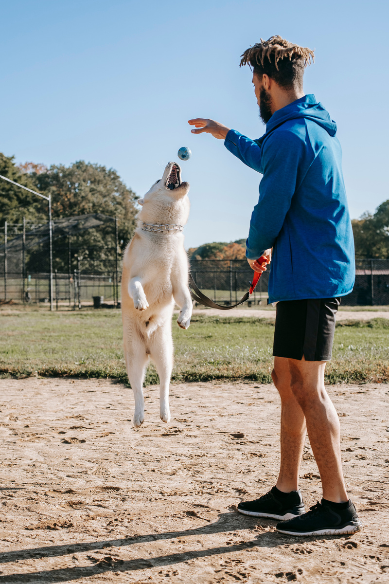 Active man with jumping dog on street